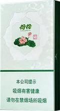 荷花 绿水青山