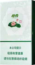 荷花 绿水青山