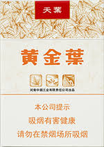 黄金叶天叶粗